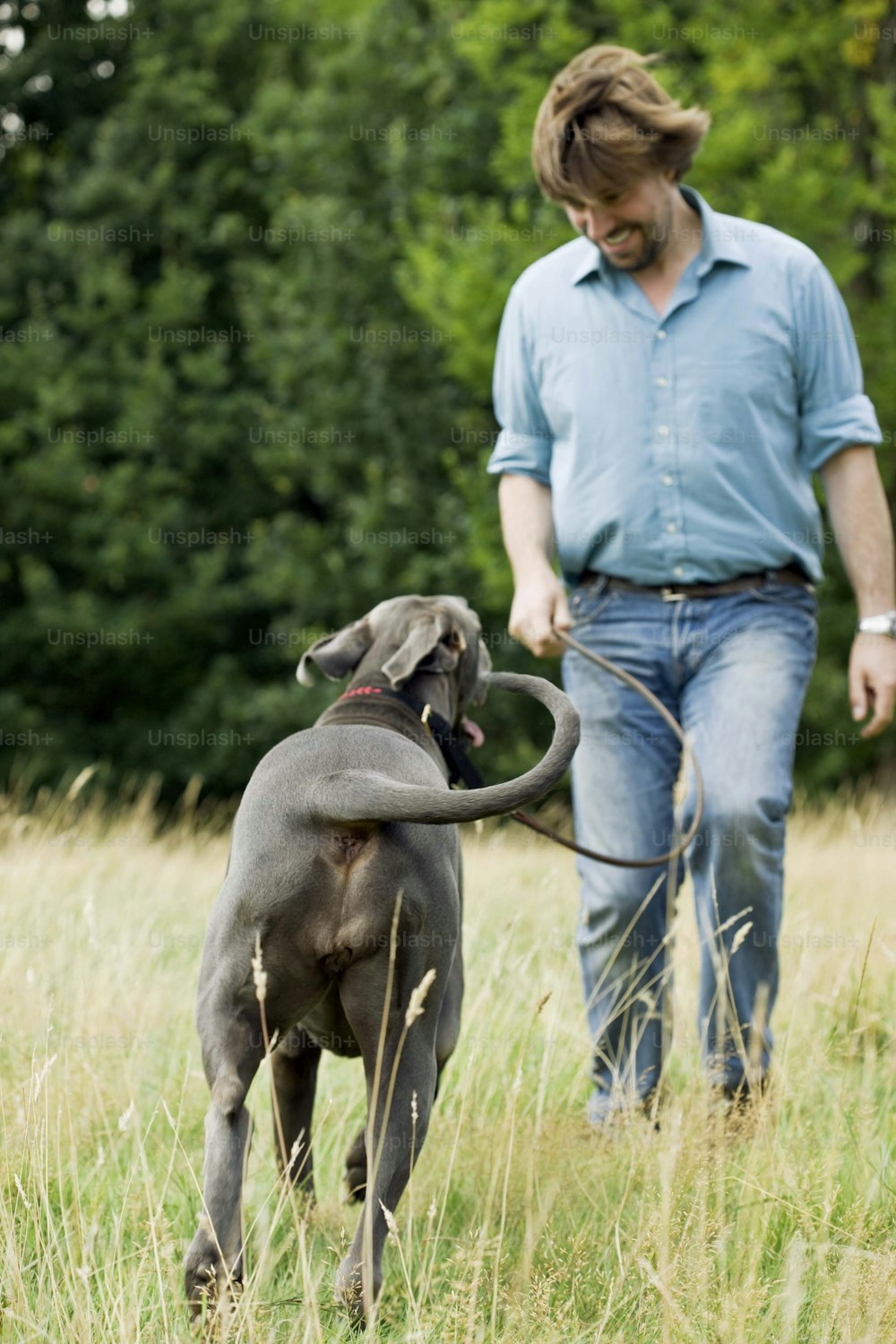 Ein Mann, der mit einem Hund an der Leine auf einem Feld spazieren geht
