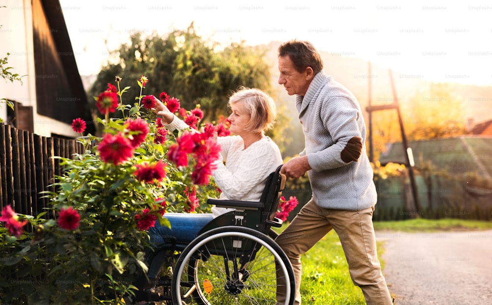 Coppia anziana a passeggio. Uomo anziano che spinge una donna su una sedia a rotelle sulla strada del villaggio. Una donna disabile che guarda i fiori.