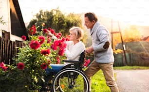 Seniorenpaar auf einem Spaziergang. Älterer Mann schiebt eine Frau im Rollstuhl auf der Dorfstraße. Eine behinderte Frau, die Blumen betrachtet.