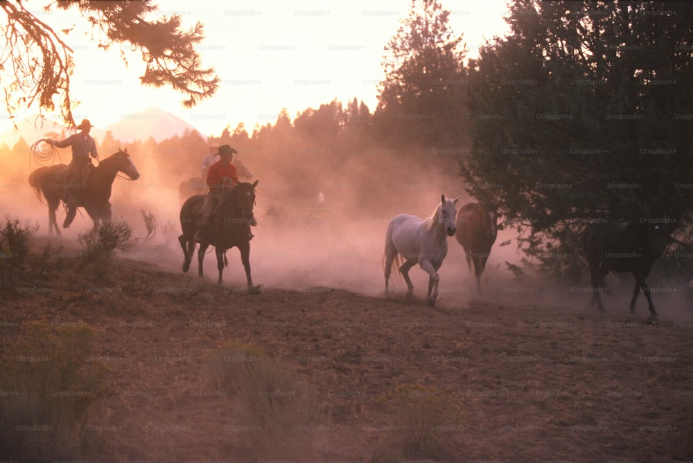 a group of people riding horses down a dirt road