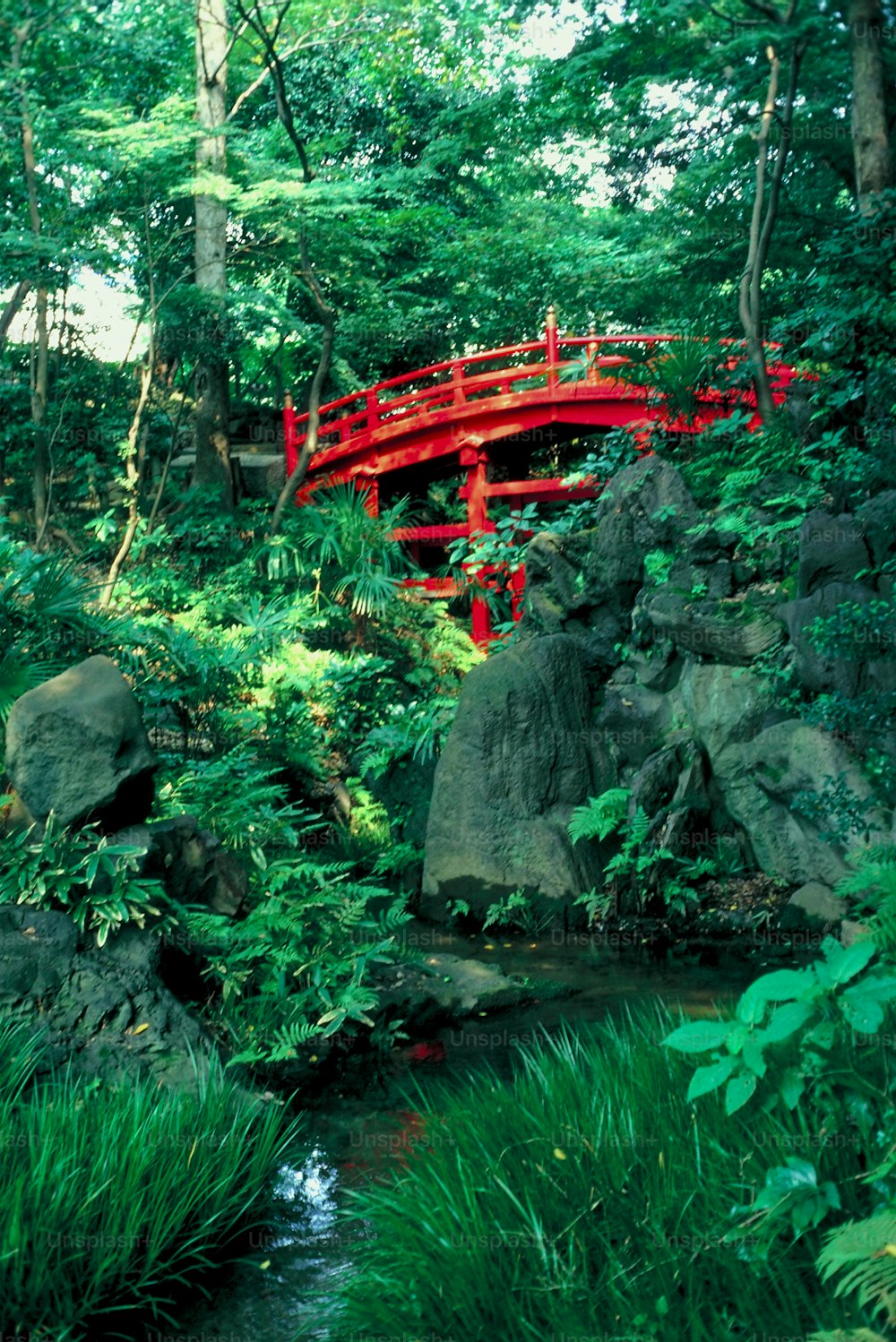 a red bridge over a stream in a lush green forest