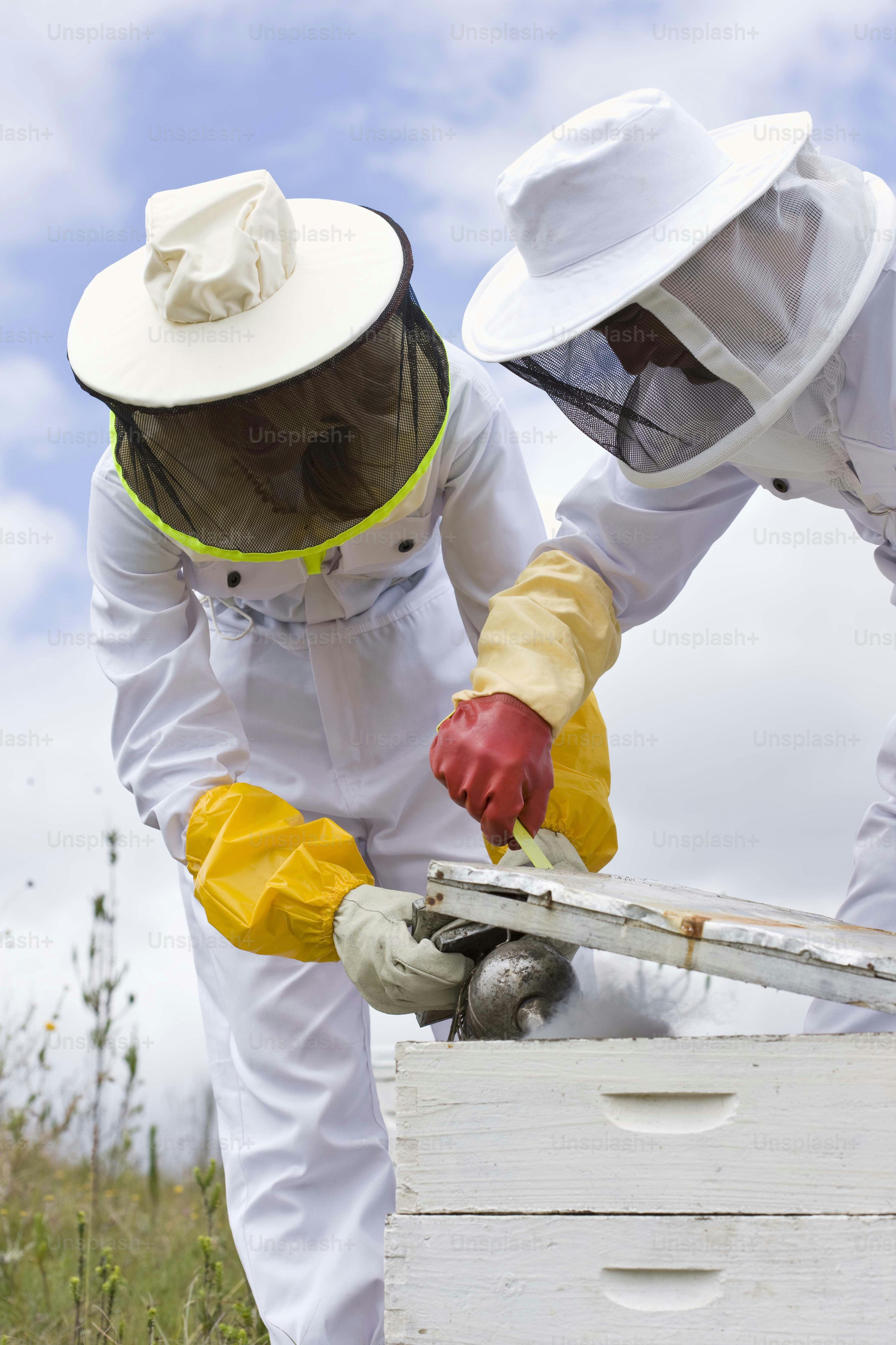 two people in bee suits are inspecting a beehive