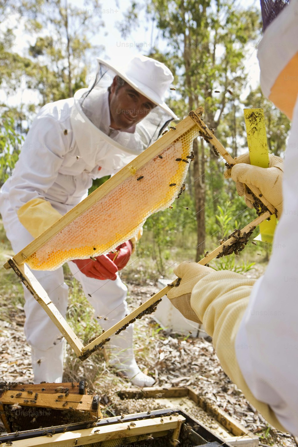 Un hombre con un traje de abeja sosteniendo una colmena