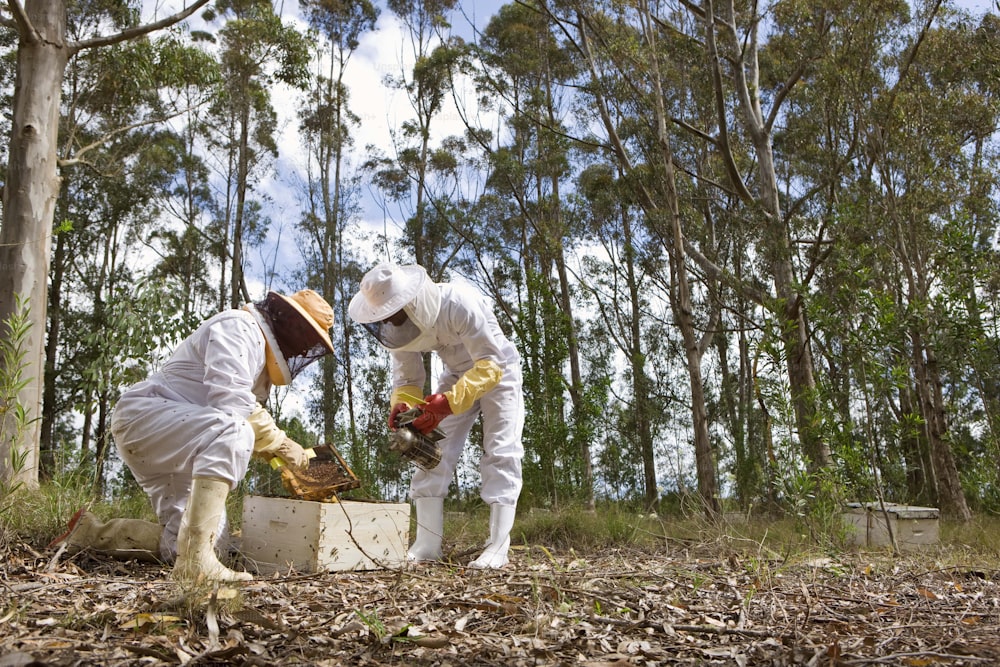 a couple of people that are standing in the dirt