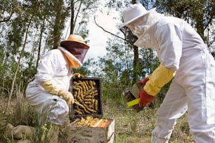 two people in bee suits are inspecting a beehive
