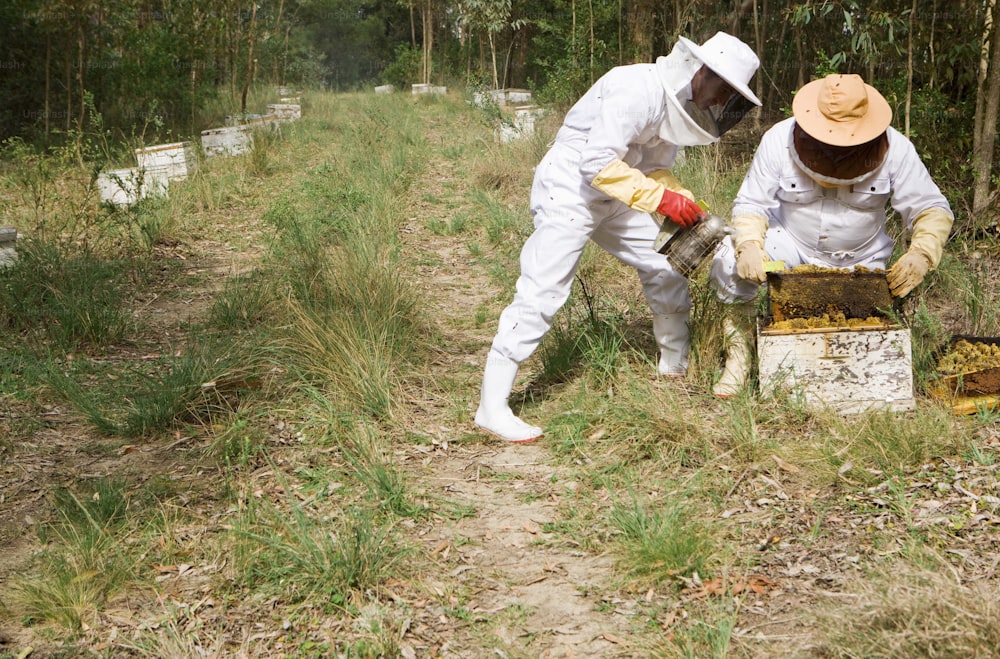 two people in bee suits and hats are inspecting a beehive