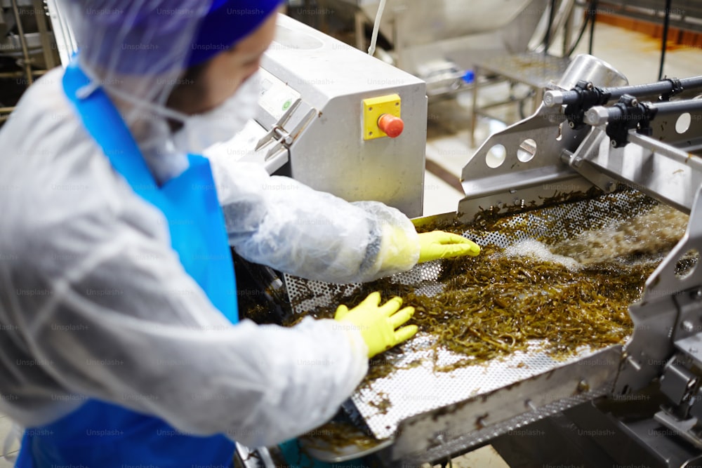 Operaio di un impianto di frutti di mare che mescola insalata di alghe cotte su una macinatura speciale