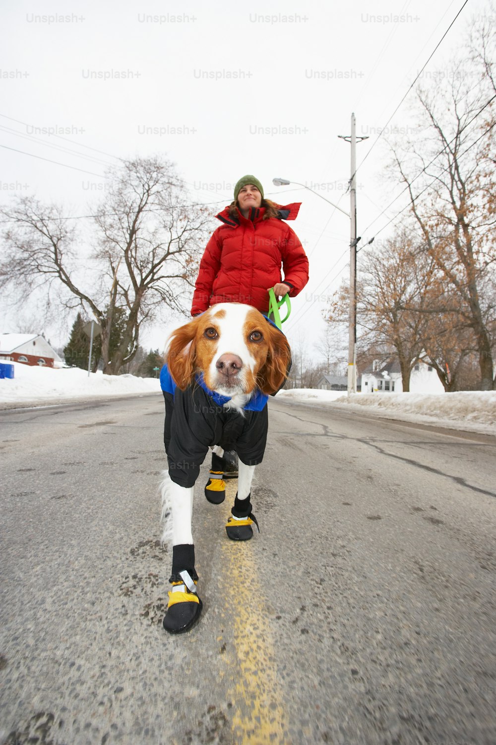 a person riding a dog on the back of a skateboard