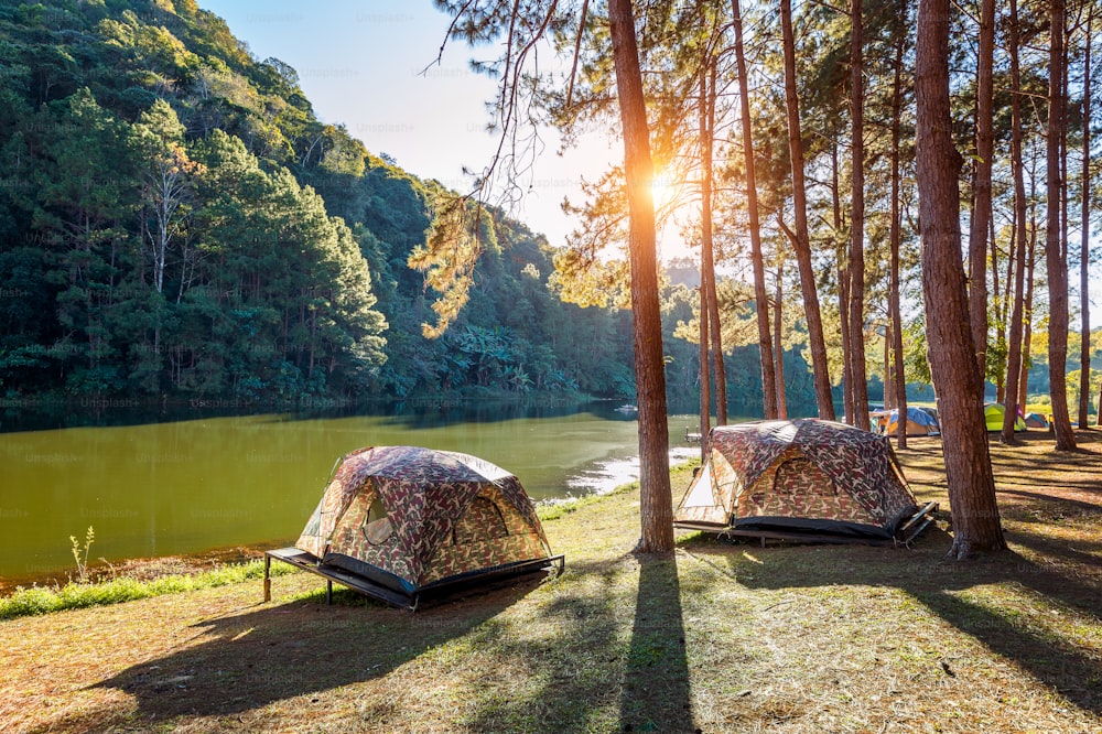 Camping tents under pine trees with sunlight at Pang Ung lake, Mae Hong Son  in THAILAND. photo – Sun Image on Unsplash