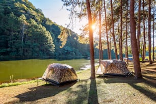 Tiendas de campaña bajo los pinos con luz solar en el lago Pang Ung, Mae Hong Son en TAILANDIA.