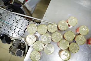 Packed tin cans with fish or seafood being put to processing line in factory