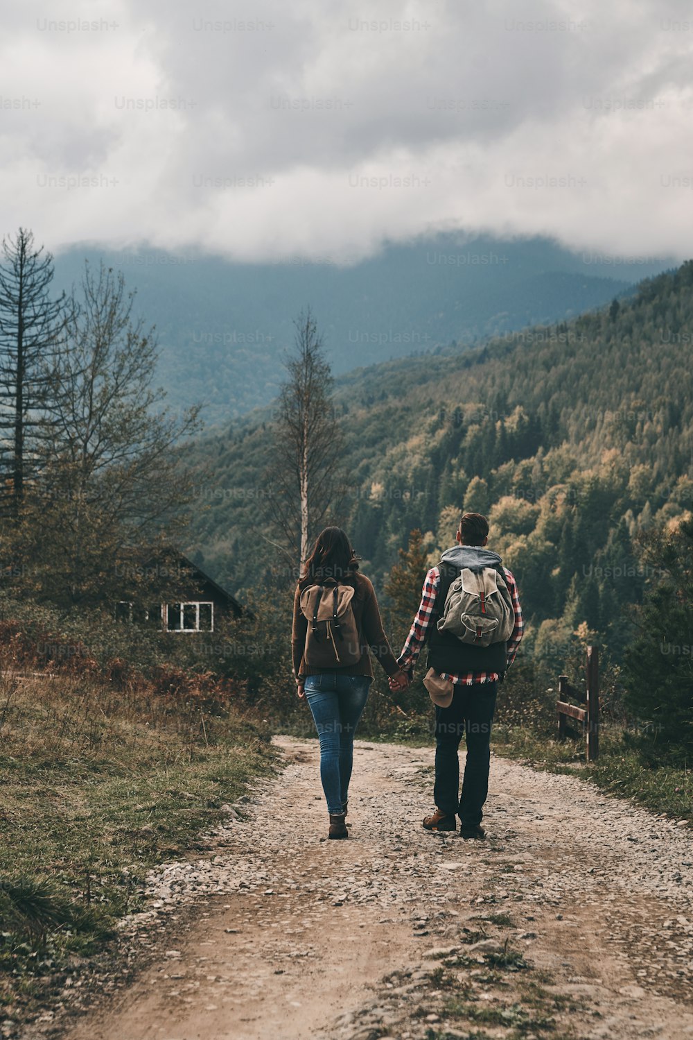 Full length rear view of young couple holding hands while hiking in mountains