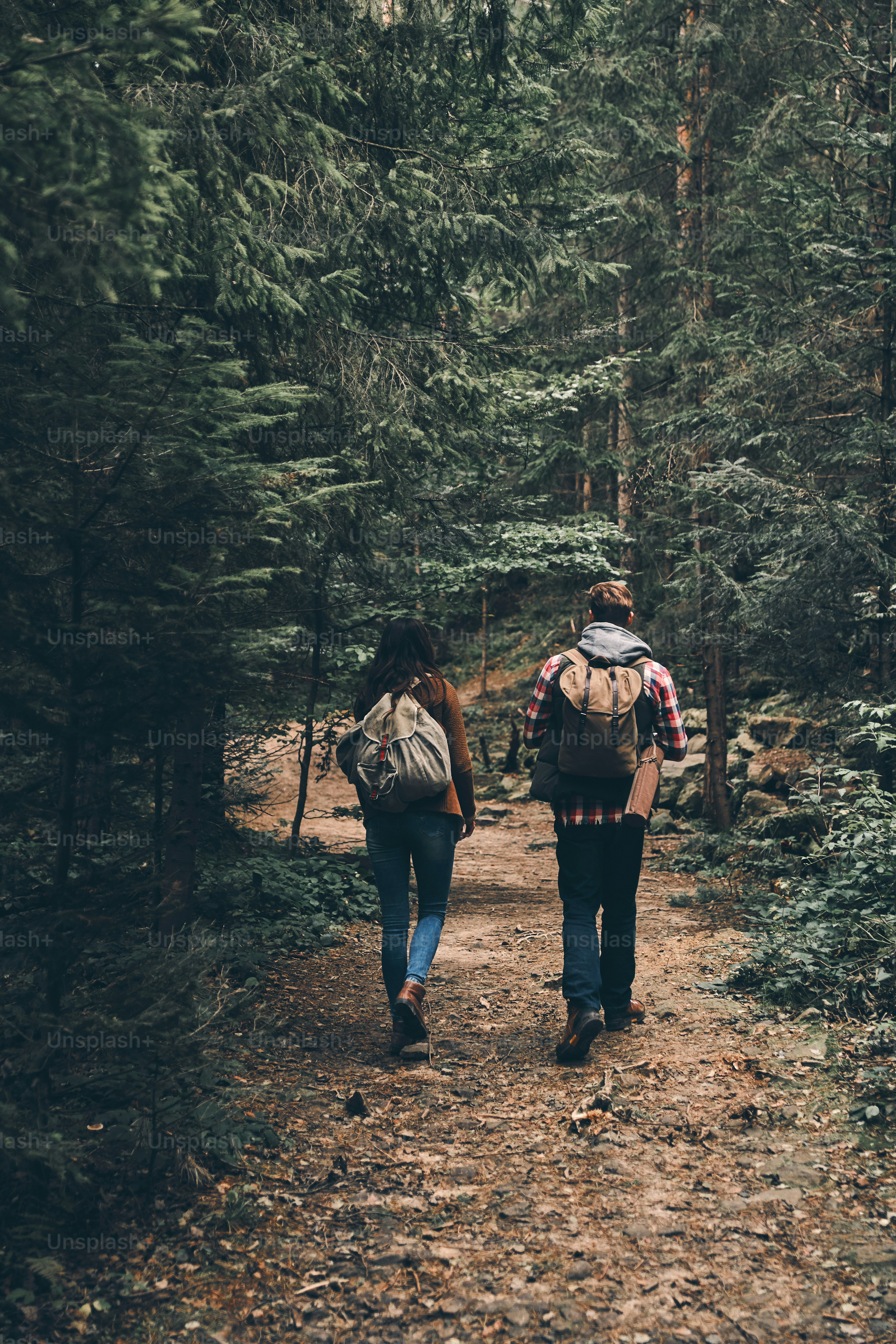 Vista trasera de cuerpo entero de una pareja joven moderna que camina junta en el bosque mientras disfruta de su viaje