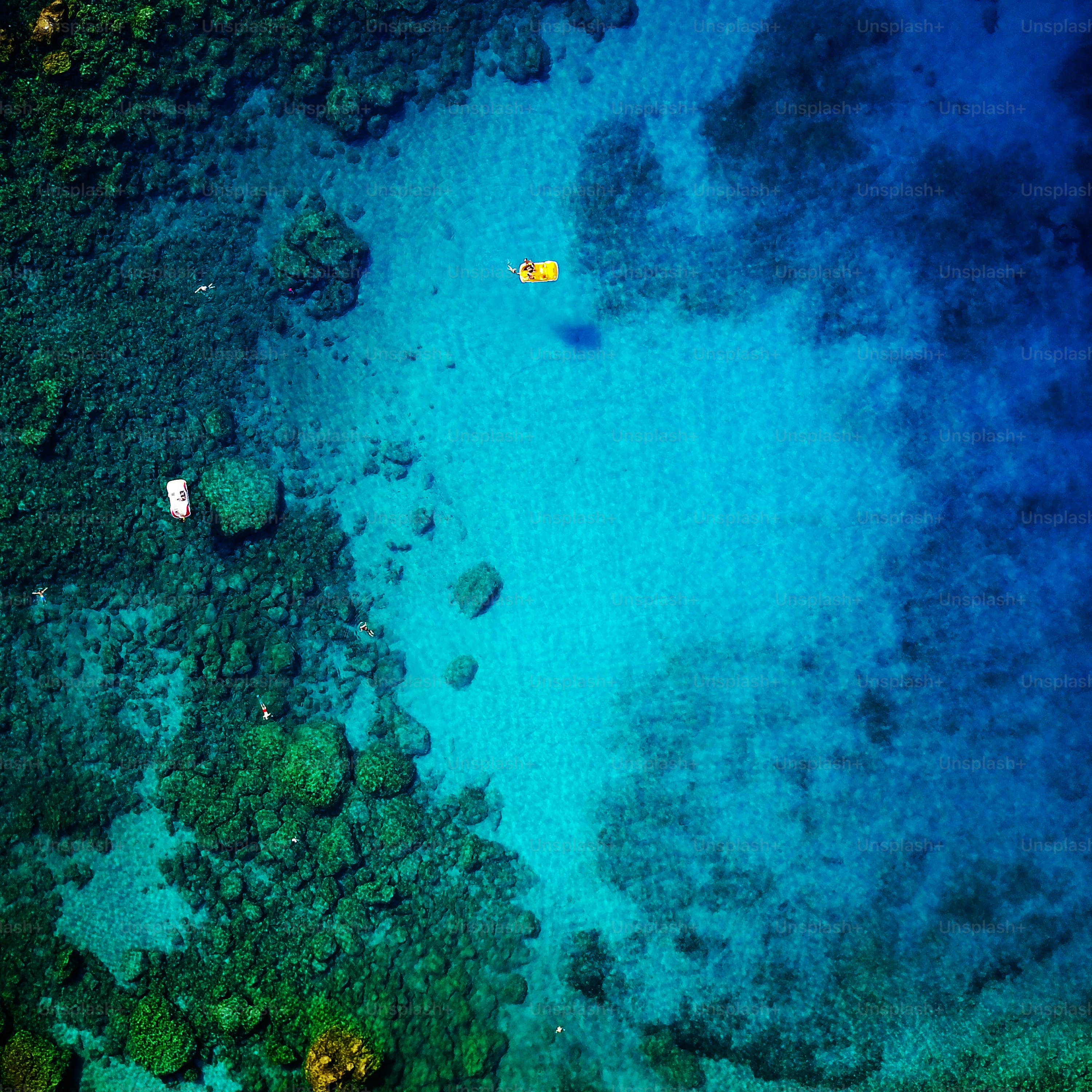 8 National Geographic Classroom Resources All About the Ocean