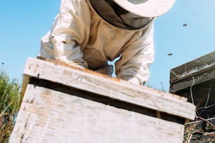 Beekeeper working collect honey. Beekeeping concept.