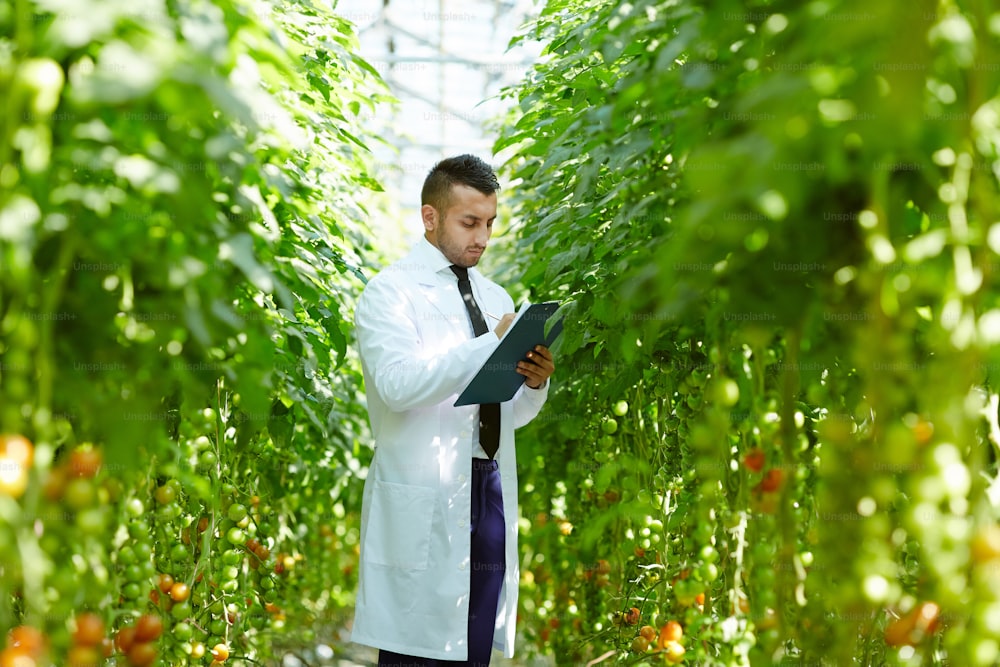 Hothouse engineer in whitecoat and formalwear making working notes in document