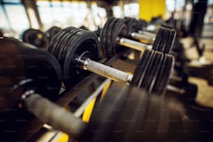 Close up of black dumbbells in row in the gym.