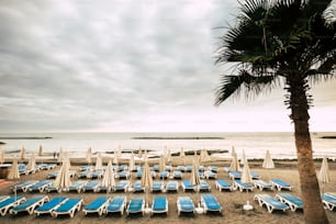 Tropischer Hintergrund mit Palme und Strand. Leere Sitze und Sonnenschirme, um die Entspannung und die Stille mit Meer und Natur zu genießen. Outdoor-Urlaubsort auf Teneriffa