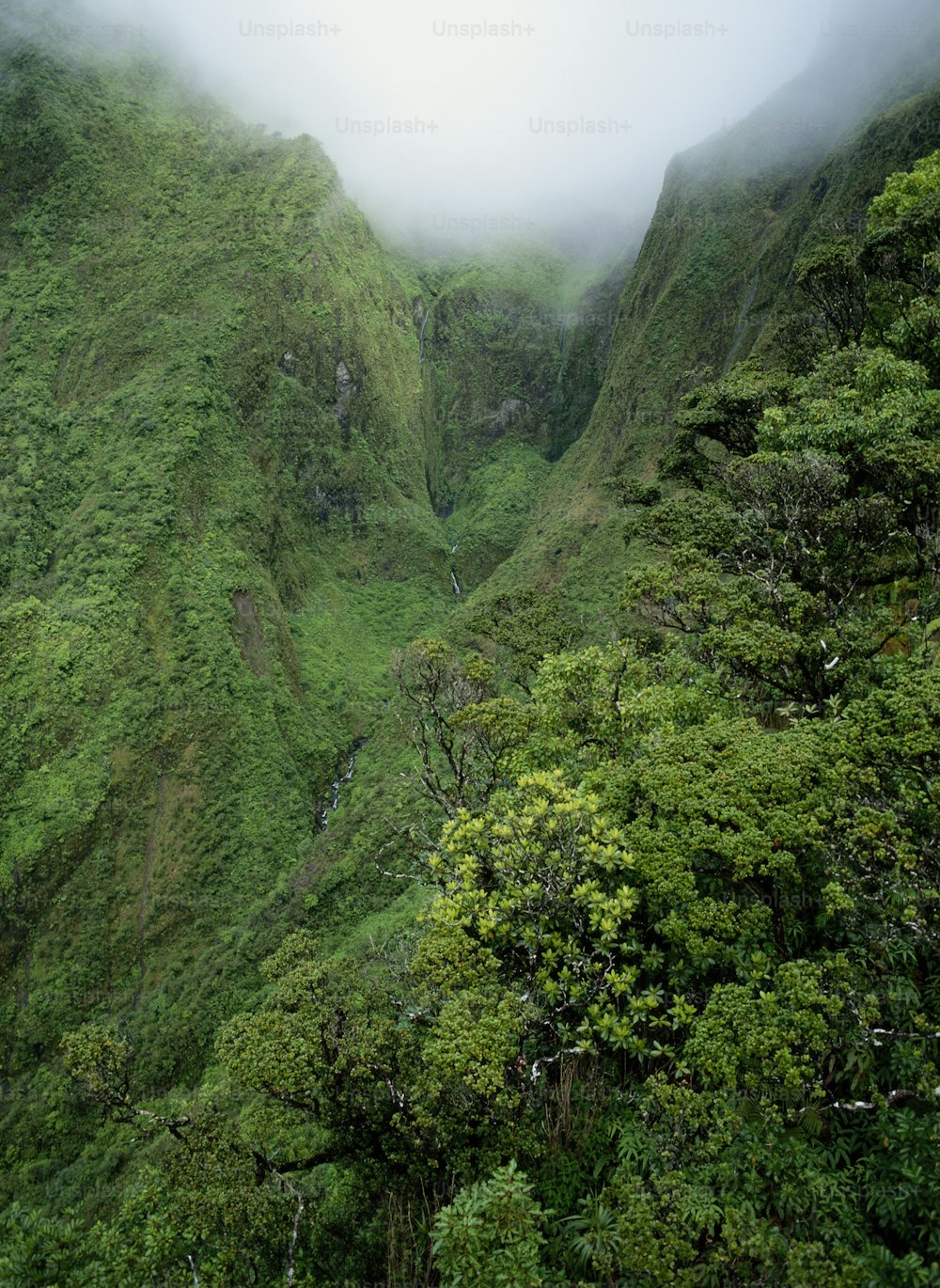 a lush green hillside covered in fog and clouds