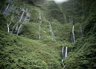 eine üppig grüne Bergseite mit einem Wasserfall