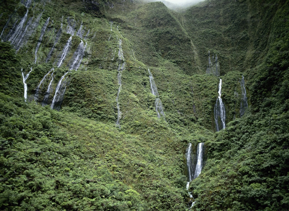Una exuberante ladera verde de la montaña con una cascada