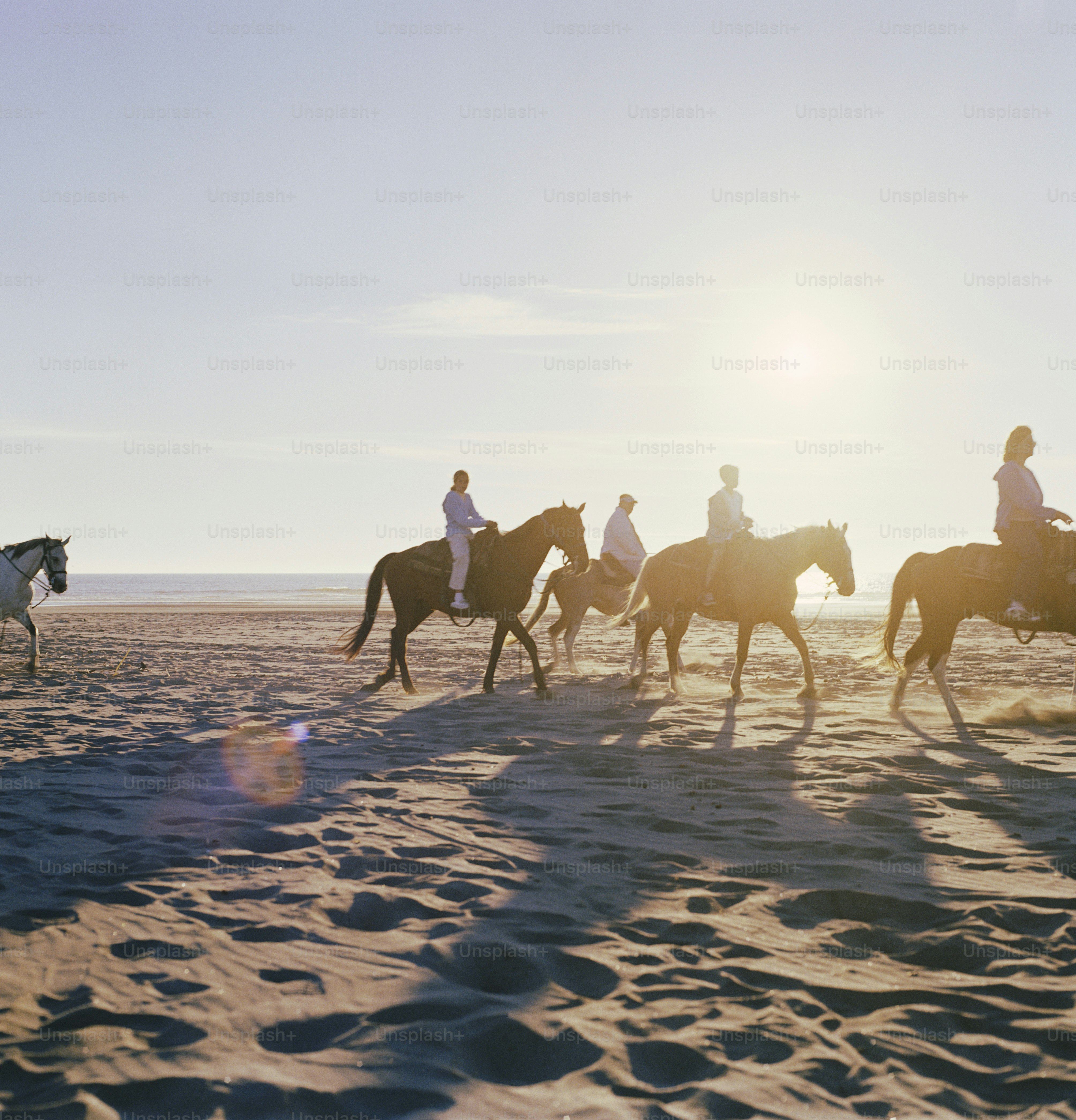 a group of people riding horses on a beach
