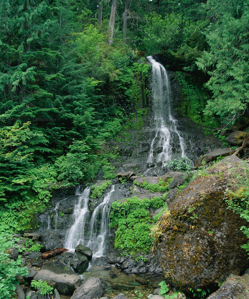 a waterfall in the middle of a lush green forest