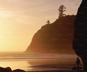 a person standing on a beach next to the ocean