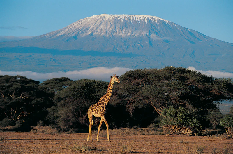 Amboseli National Park