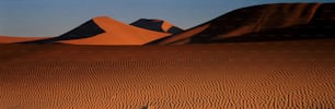 Sossusvlei Region, Namibia. Sossuvlei ist eine große Pfanne (Mulde) inmitten großer Sanddünen. Sehr selten enthält die Pfanne tatsächlich Wasser, aber im Allgemeinen ist sie trocken. Die Dünen erreichen Höhen von rund 200 Metern über dem Boden. [1997]