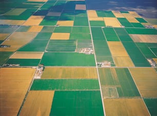 eine Luftaufnahme eines grünen und gelben Feldes