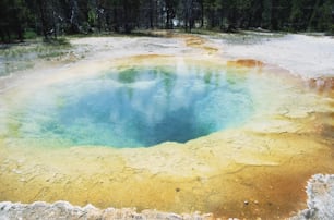 a large pool of water surrounded by trees