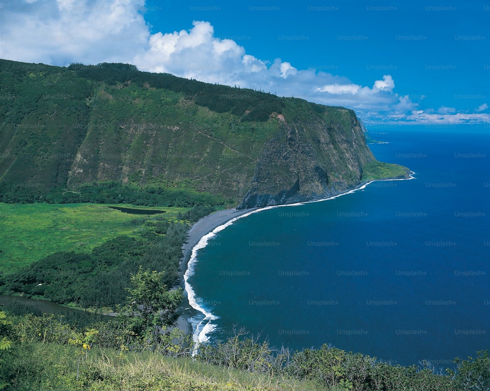 a lush green hillside next to a large body of water