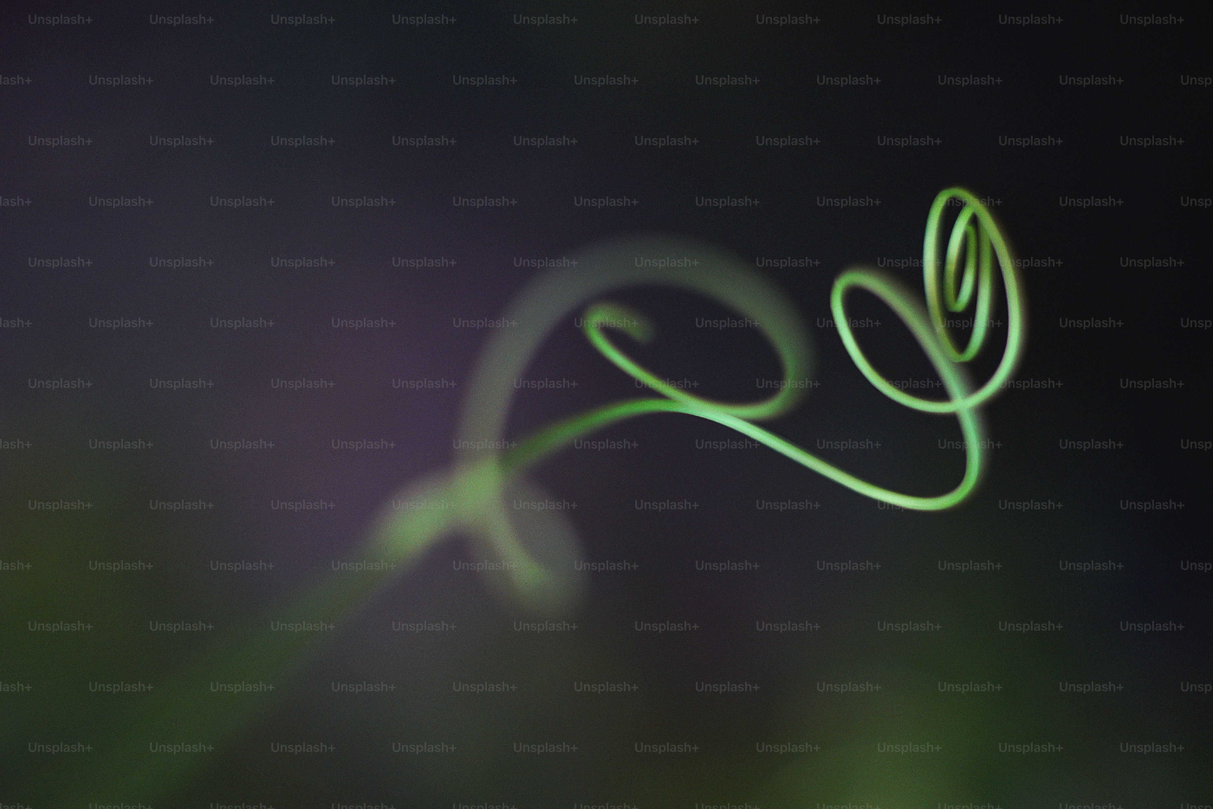 a blurry photo of a plant with a stem