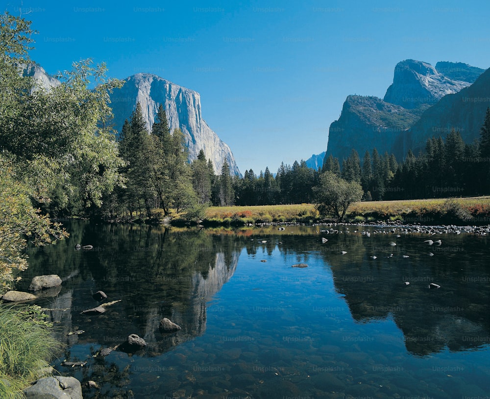 un lac entouré de montagnes et d’arbres