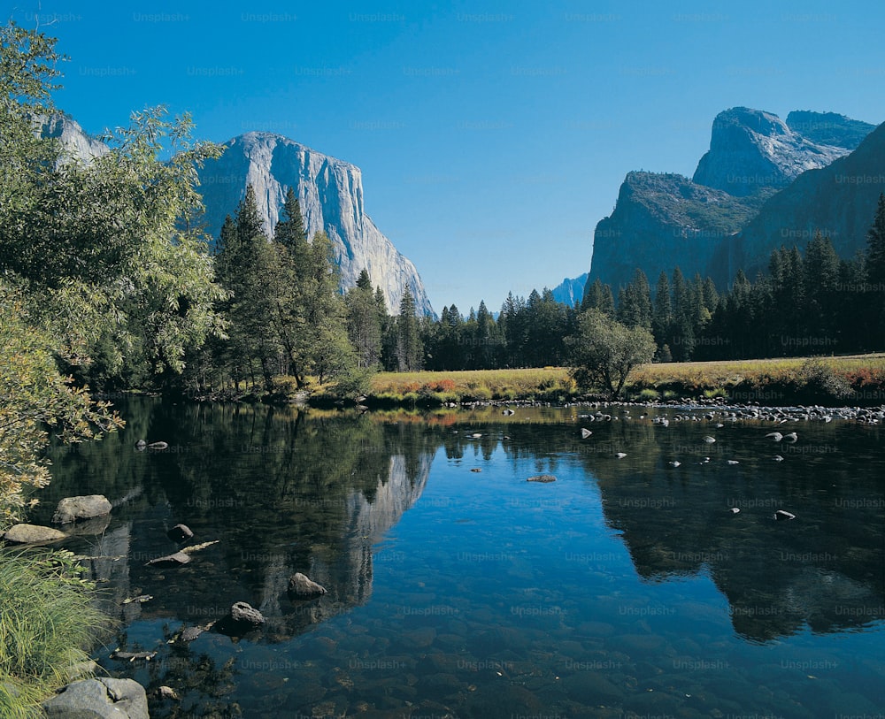 Ein See, umgeben von Bergen und Bäumen