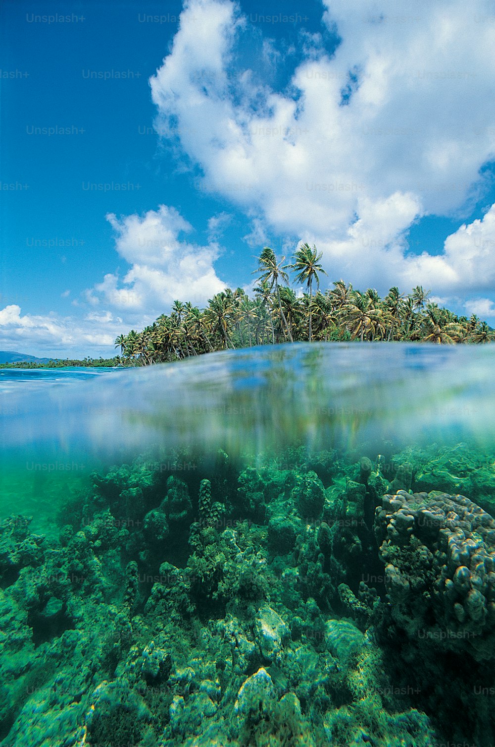 uma vista subaquática de uma ilha tropical com palmeiras
