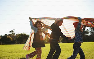 a group of people holding a kite in a field