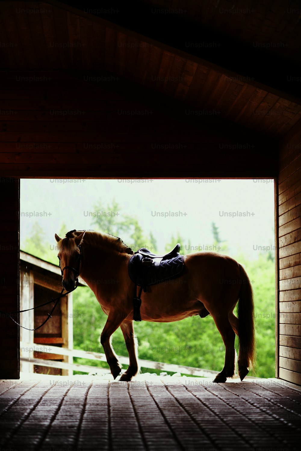 um cavalo marrom usando uma sela em pé em um estábulo