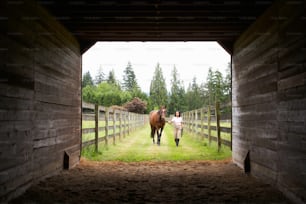 un couple de chevaux debout dans une grange