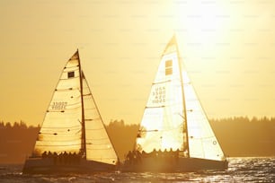 a couple of sail boats sailing on top of a body of water