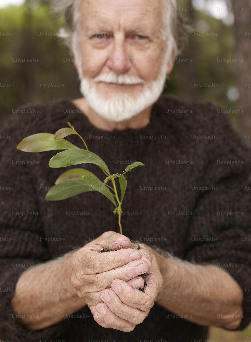 an old man holding a plant in his hands