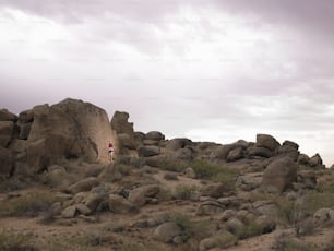 USA, Arizona, Scottsdale, Jomax Boulders