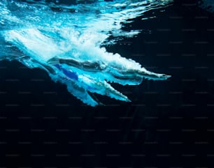 Underwater view of swimmers