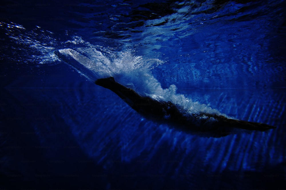 um homem nadando sob a água em uma piscina