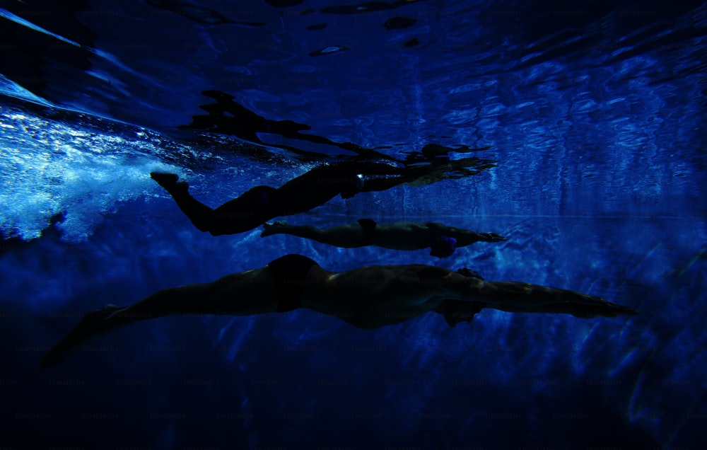 a group of people swimming under water in a pool