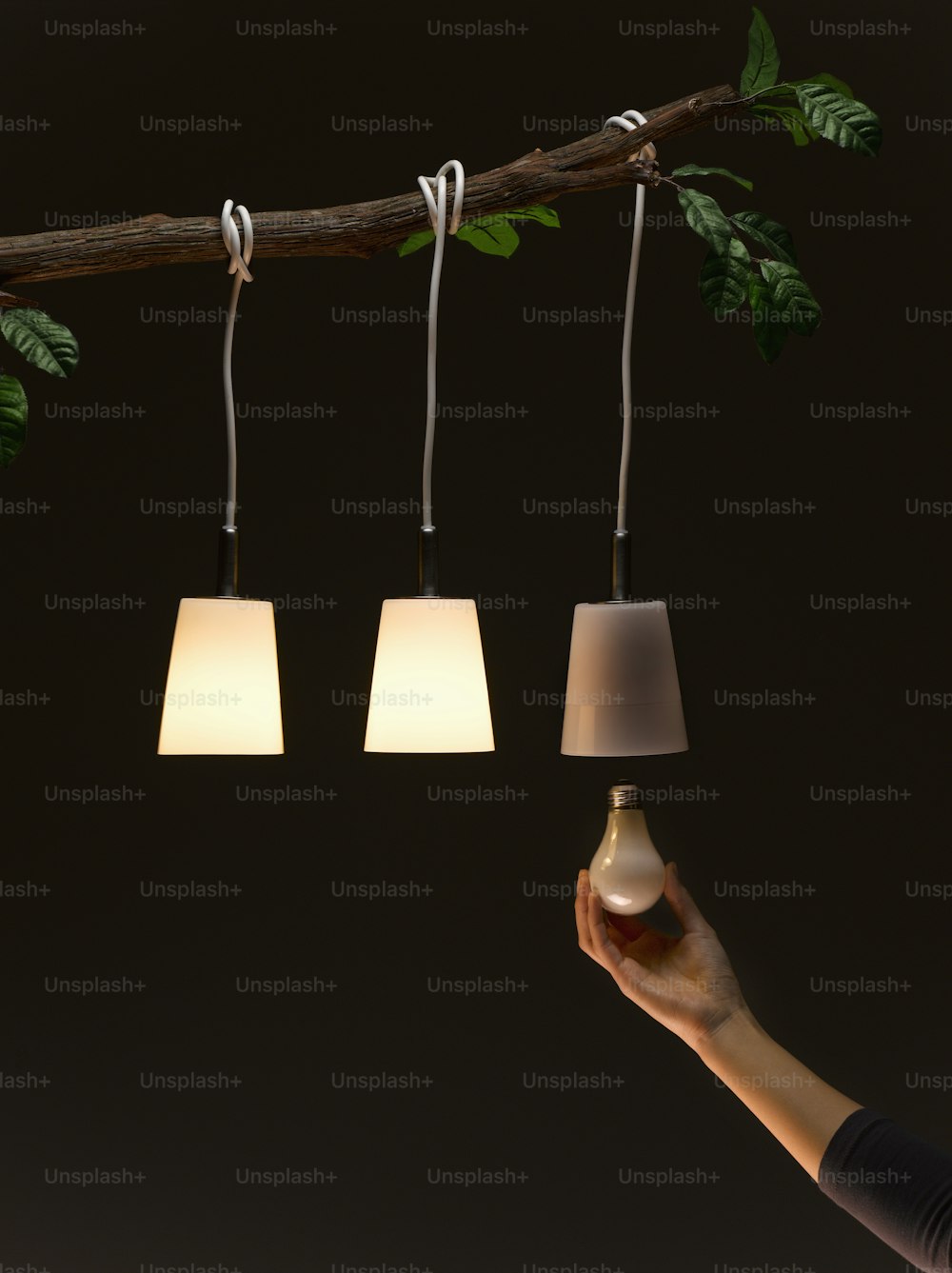 une personne tient une lampe devant une branche