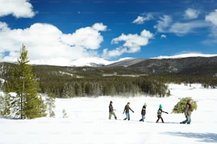 Fraser, Colorado, USA