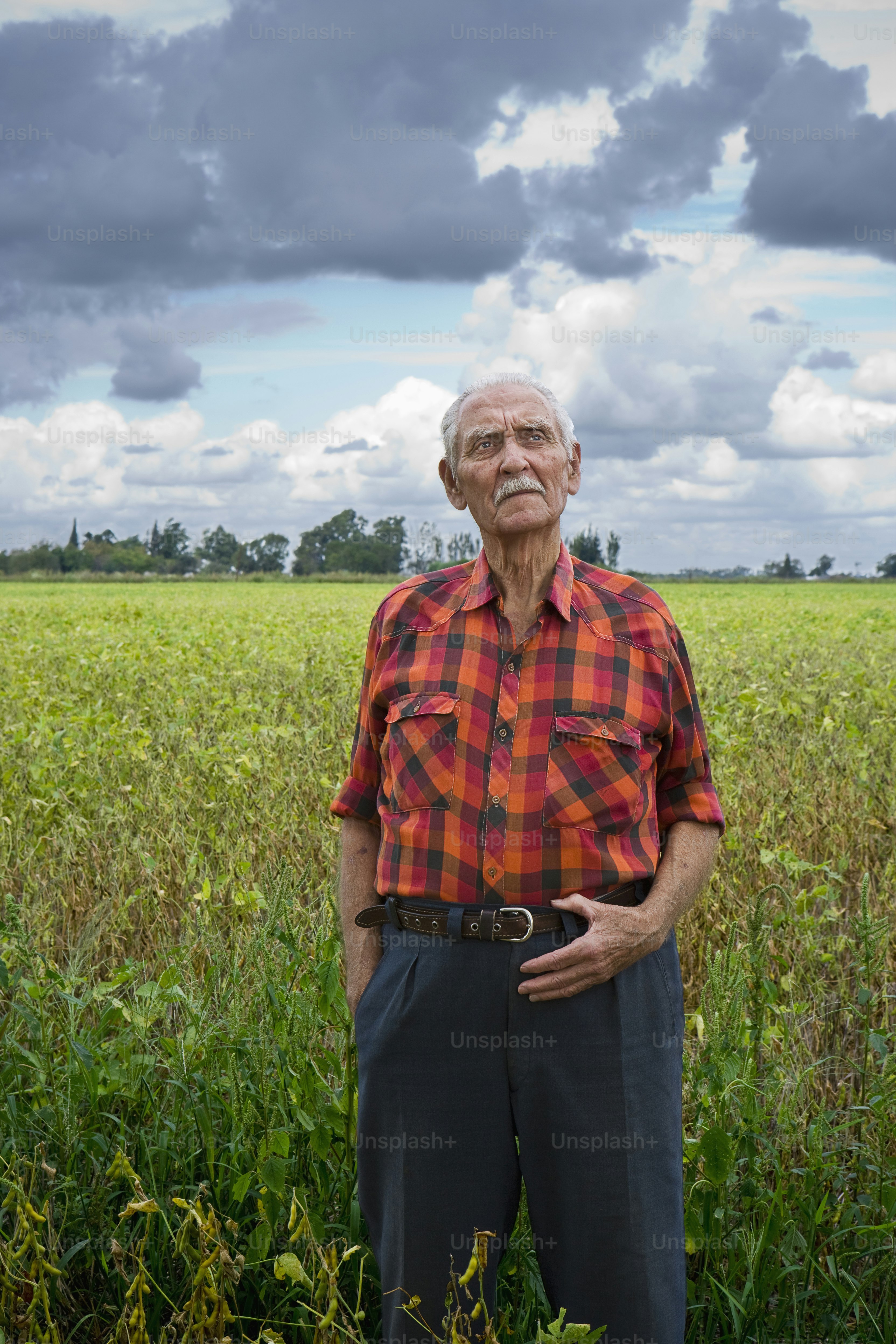 A man standing in a field of tall grass photo – Clouds Image on Unsplash