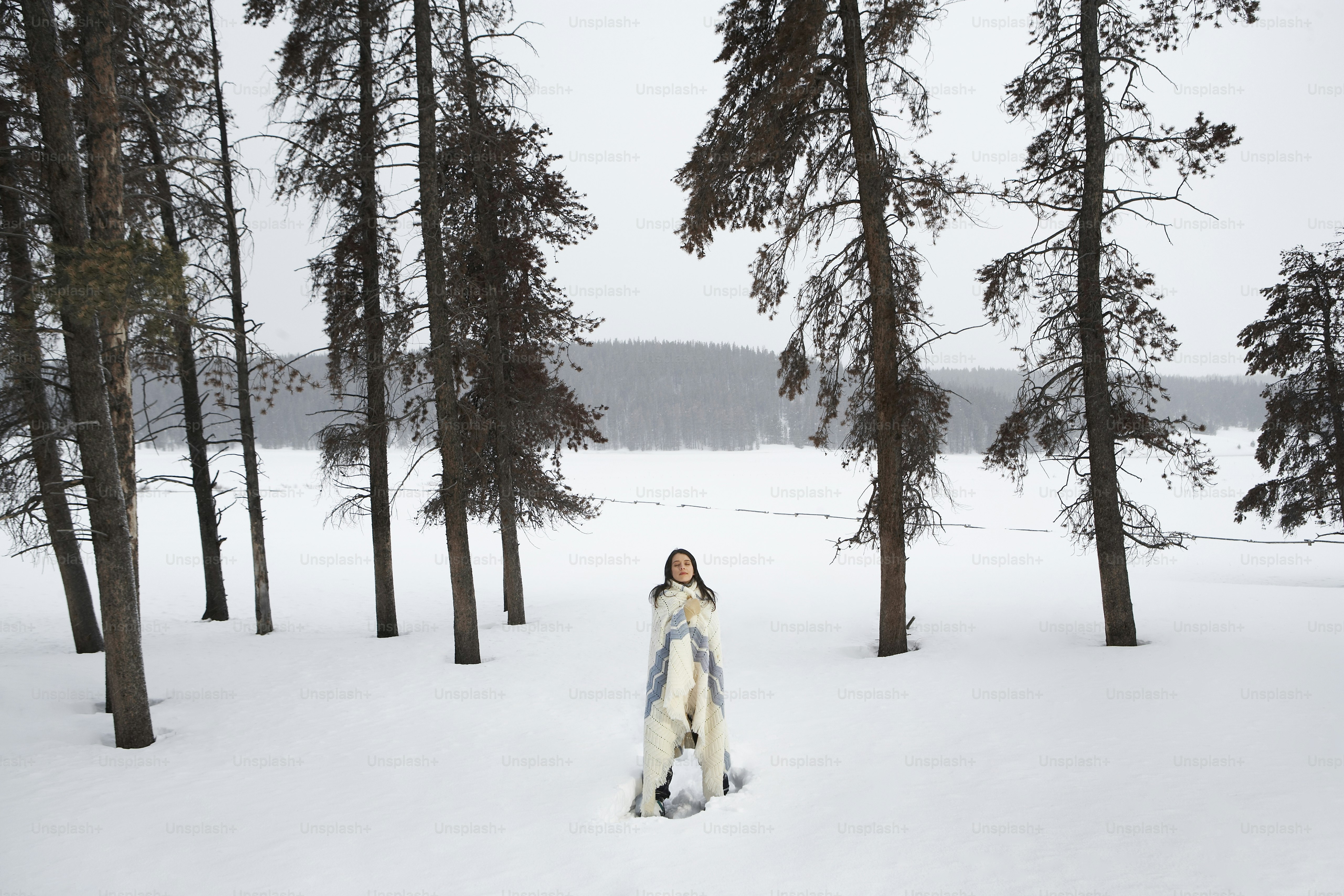 Fraser, Colorado, USA